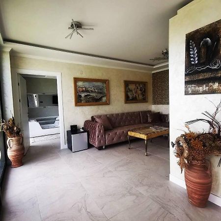 Lux Vila Aleksandar Sremska Kamenica Экстерьер фото